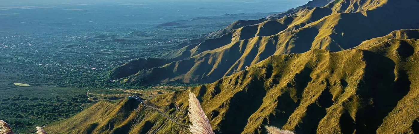 77b6a31a-a10d-4a3a-b0d4-76f05198fa56-2