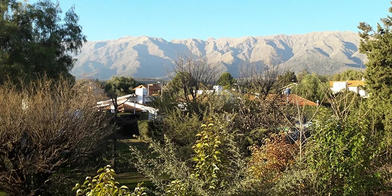 Abuelazo - Merlo (5)