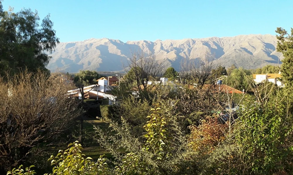 Abuelazo - Merlo (5)