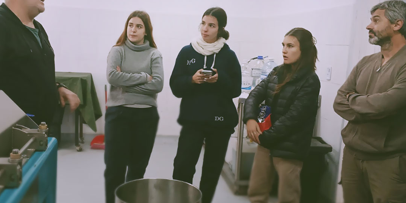 Cabildo - Olivos del Napostá - (1)