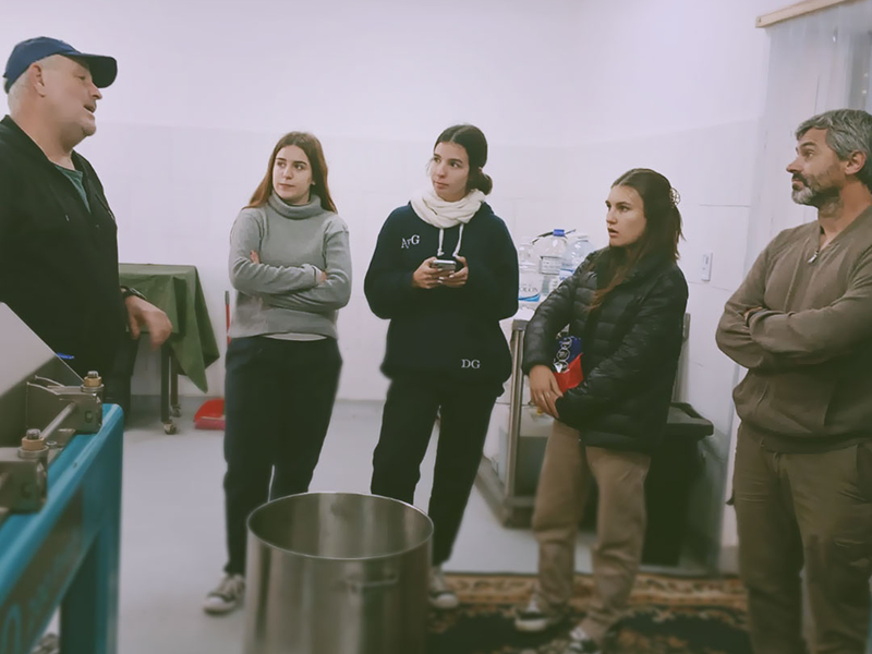 Cabildo - Olivos del Napostá - (1)