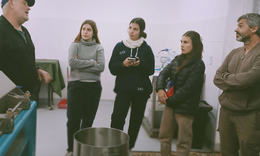 Cabildo - Olivos del Napostá - (1)