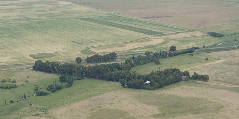 Cabildo - Olivos del Napostá - (12)