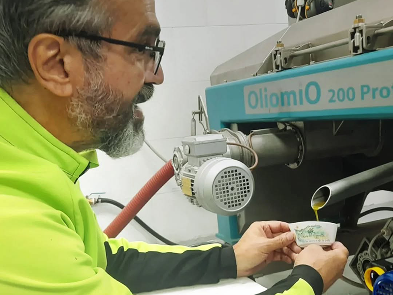 Cabildo - Olivos del Napostá - (14)