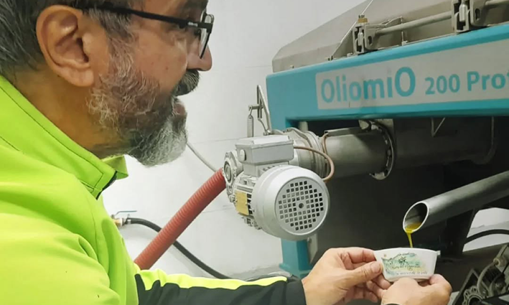 Cabildo - Olivos del Napostá - (14)