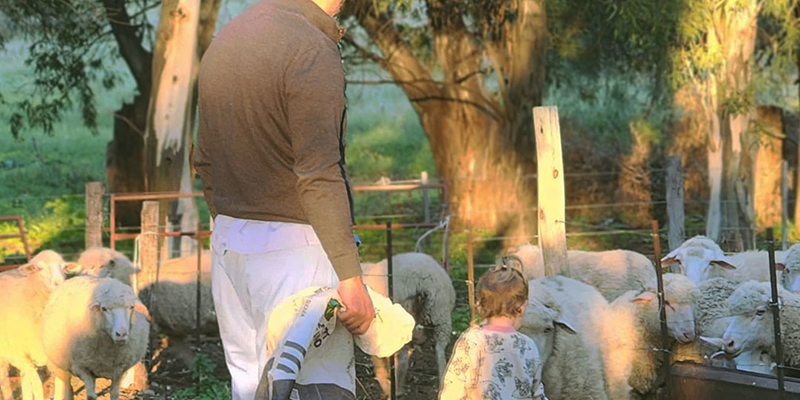 Cabildo - Olivos del Napostá - (15)