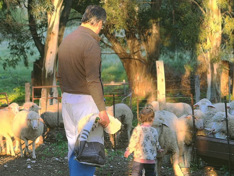Cabildo - Olivos del Napostá - (15)