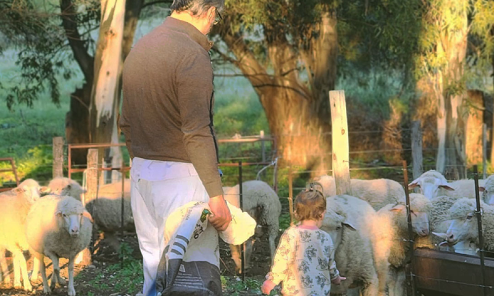 Cabildo - Olivos del Napostá - (15)
