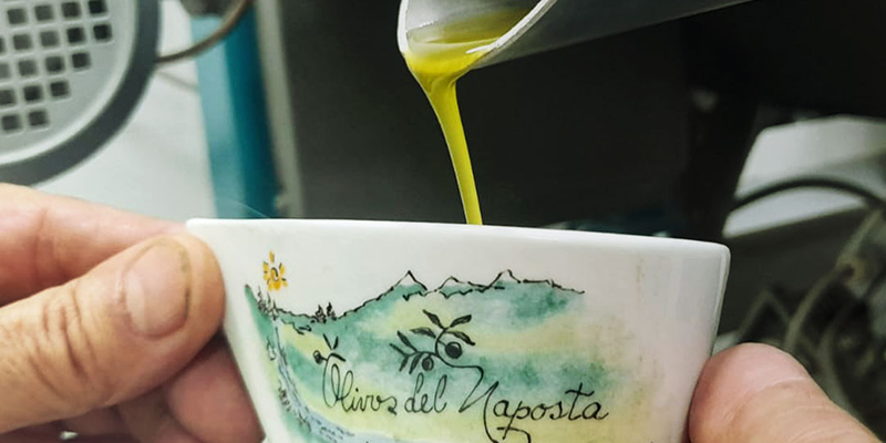 Cabildo - Olivos del Napostá - (18)