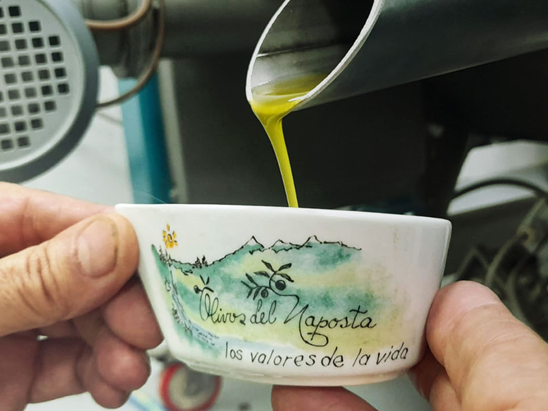 Cabildo - Olivos del Napostá - (18)