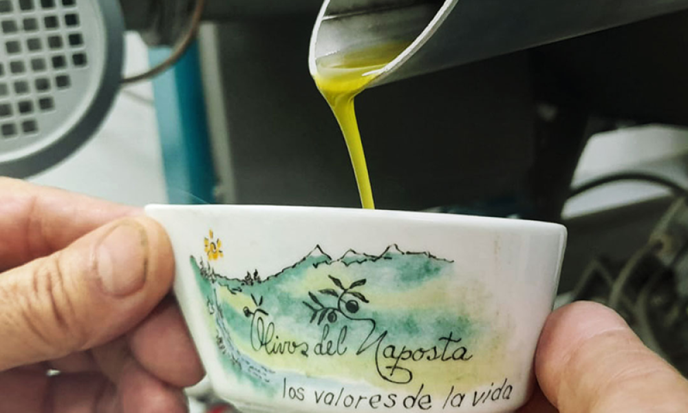 Cabildo - Olivos del Napostá - (18)