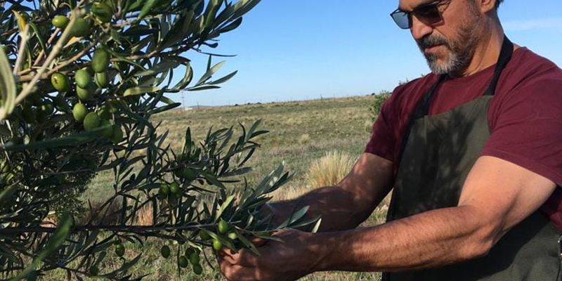 Cabildo - Olivos del Napostá - (20)