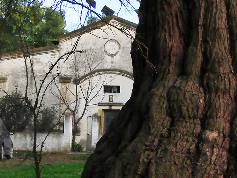 Cabildo - Olivos del Napostá - (4)