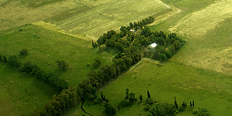 Cabildo - Olivos del Napostá - (5)