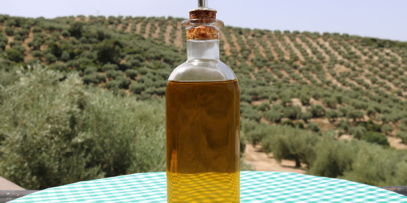 Cabildo - Olivos del Napostá - (7)