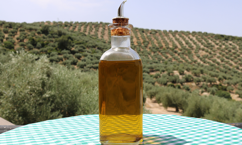 Cabildo - Olivos del Napostá - (7)