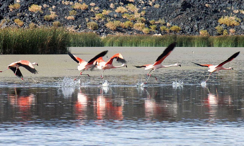 Catamarca (17)
