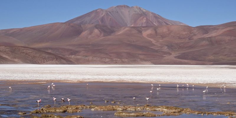 Catamarca (6)