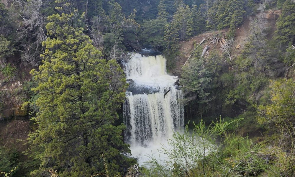 Esquel - (14)