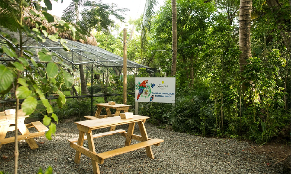 Hotel Vista Sol - Punta Cana (1)