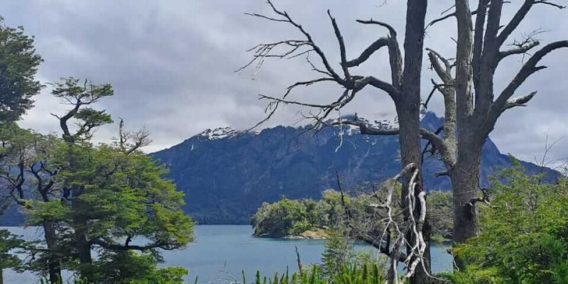 IMG-20230518-WA0040