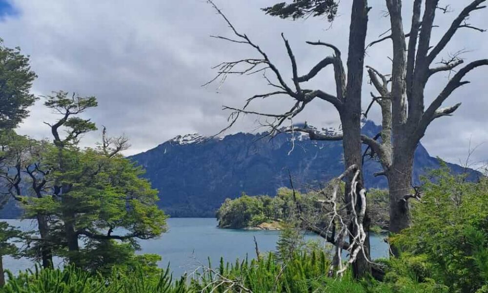 IMG-20230518-WA0040