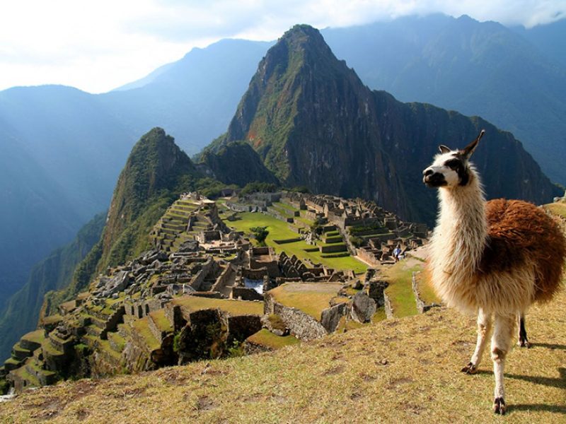 Machu Picchu (1)
