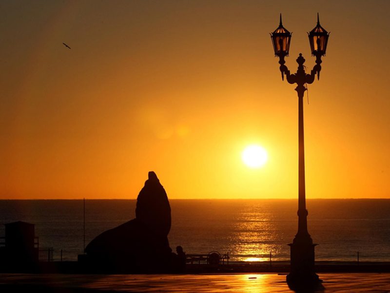 Mar del Plata (1)