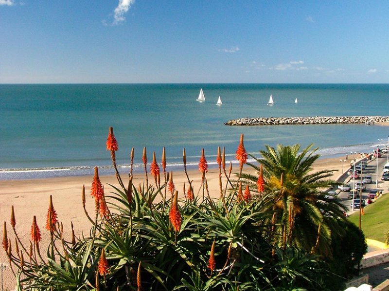 Mar del Plata (7)