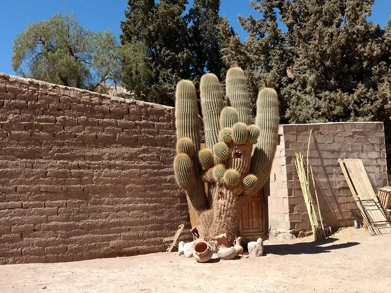 NE Salta y Tilcara web 2