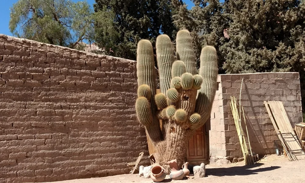 NE Salta y Tilcara web 2