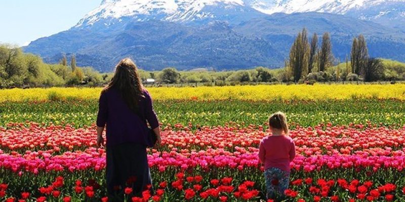 Novedades-en-turismo-Ch_novedades1578058455