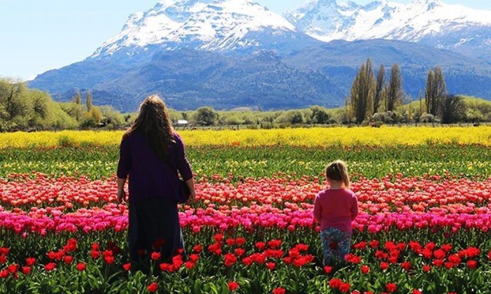 Novedades-en-turismo-Ch_novedades1578058455