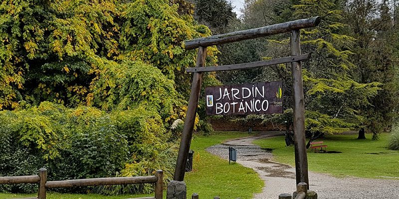 Temuco y Valdivia (6)