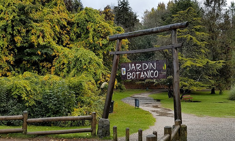 Temuco y Valdivia (6)