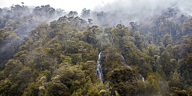 Temuco y Valdivia (8)