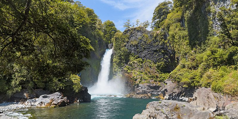 Temuco y Valdivia (9)