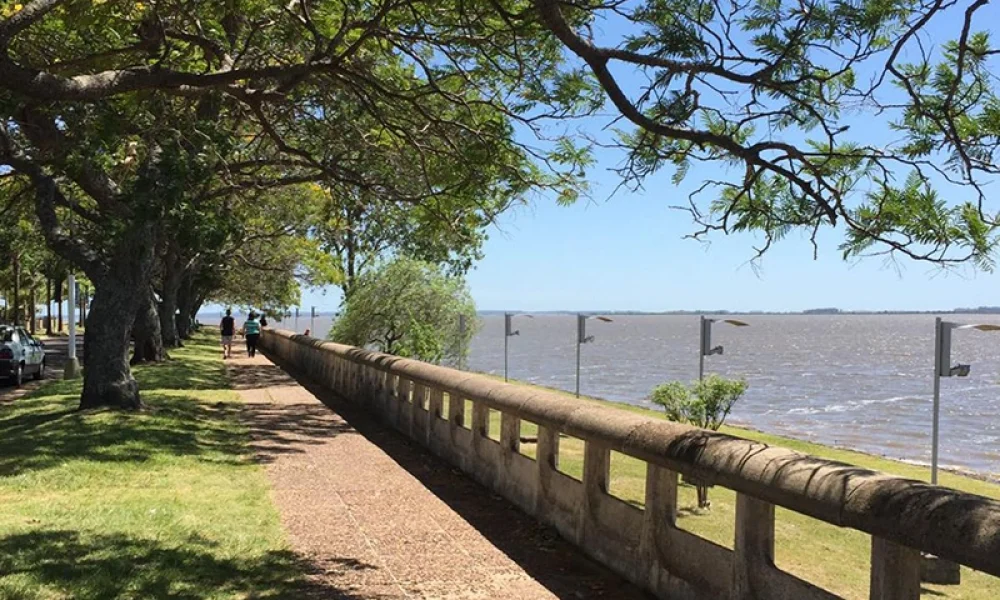 Termas de Federación (6)