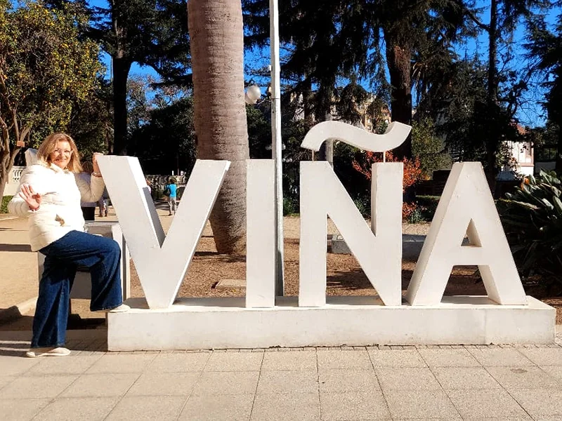 VÑA web 1