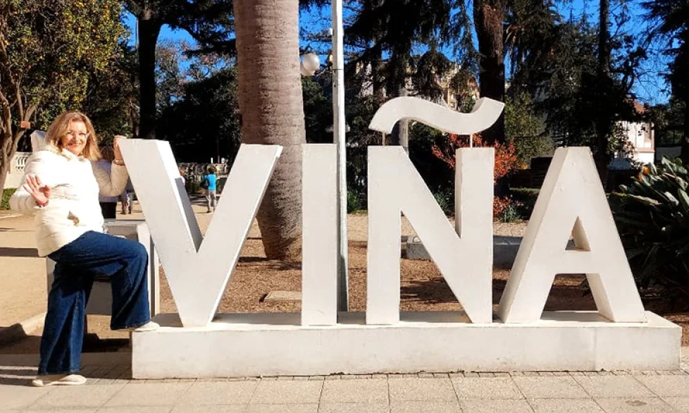 VÑA web 1