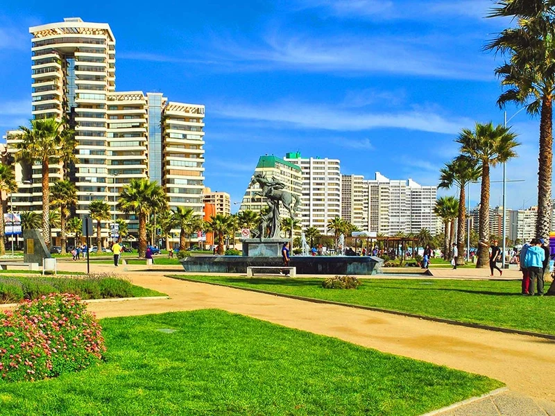 VÑA web 11