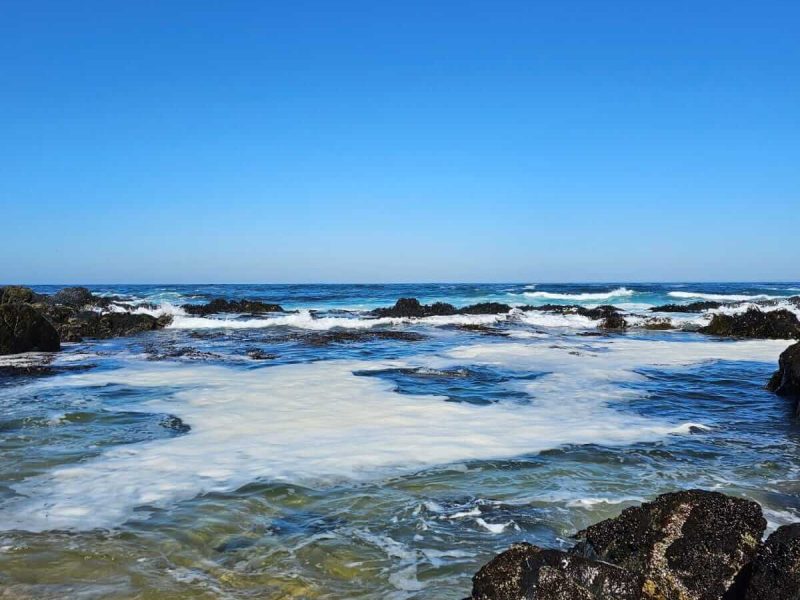 WhatsApp Image 2023-06-30 at 17.27.22 (1)