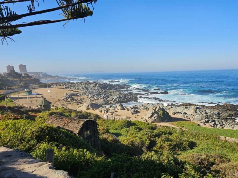 WhatsApp Image 2023-06-30 at 17.27.22