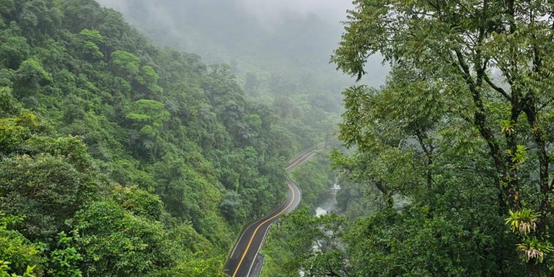 yungas-tucumanas