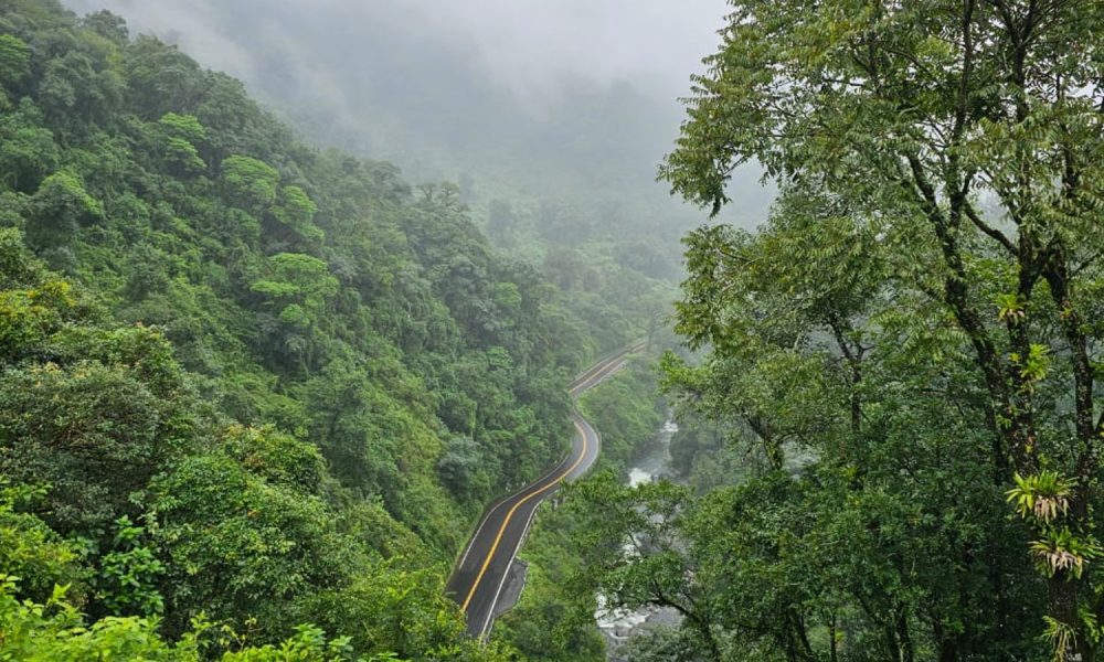 yungas-tucumanas